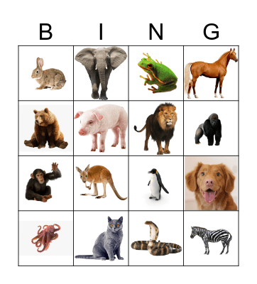 Animals Bingo Card