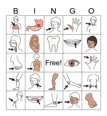 Body Parts BINGO Card