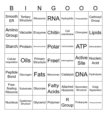 Macros/Cells EXTREME BINGO Card