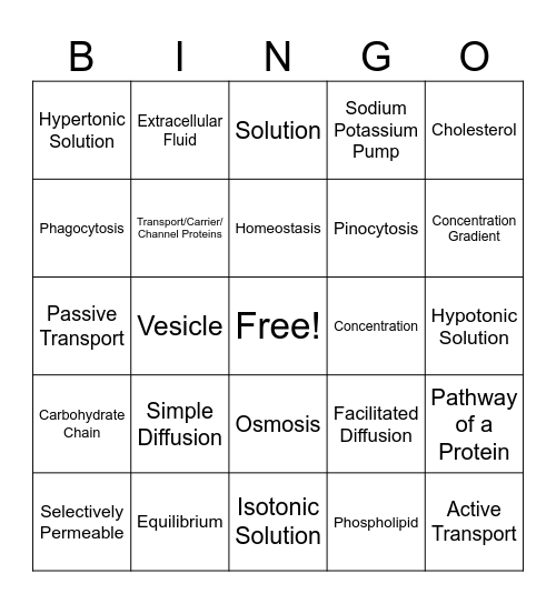 Cell Membrane and Transport Types Bingo Card