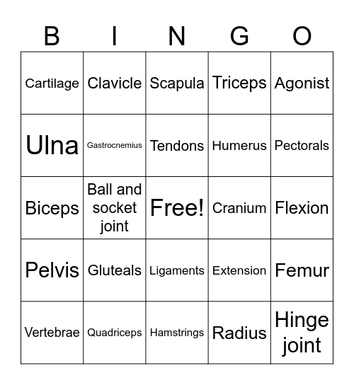 Muscle and Bone Bingo Card