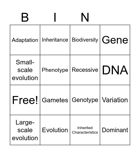 Evolution and DNA Bingo Card