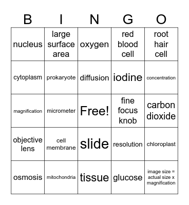 Biology B1 Bingo Card