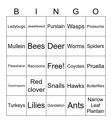 Weeds & Wildlife Bingo Card