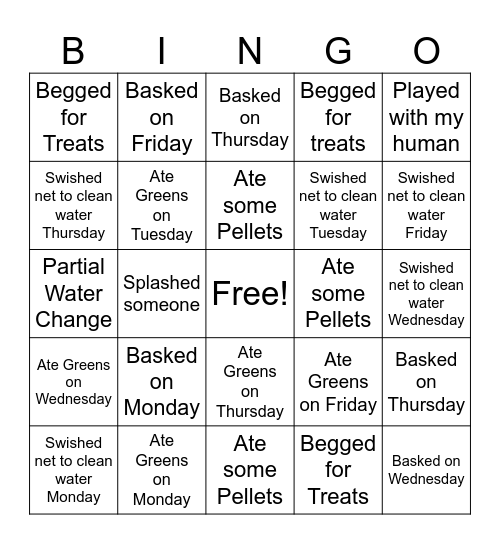 Turtle Bingo Card