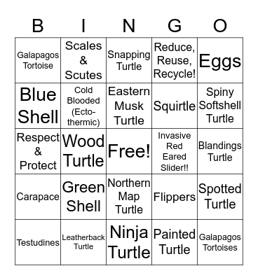 Ontario Turtles Shellebration BINGO Card