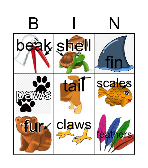 Animals Body Parts Bingo Card