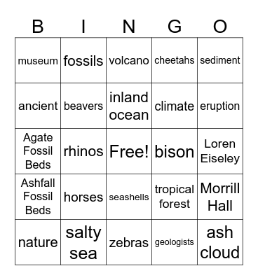 NE History p. 52-55 Bingo Card