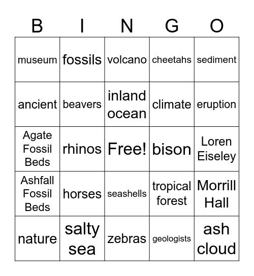 NE History p. 52-55 Bingo Card
