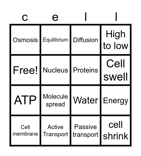 Cell Transport Bingo Card