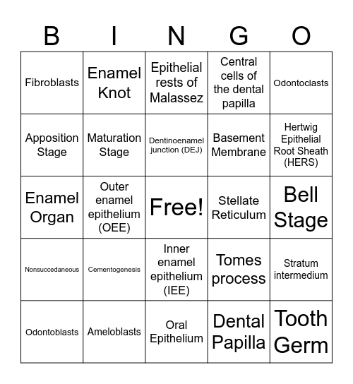 Ch. 6 Key Terms Bingo Card