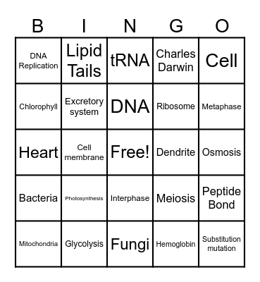 Biology BINGO Card