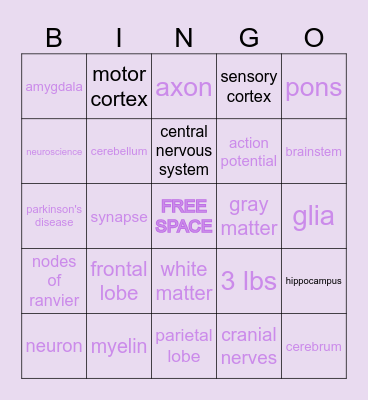 AMP Neuroscience Bingo Card