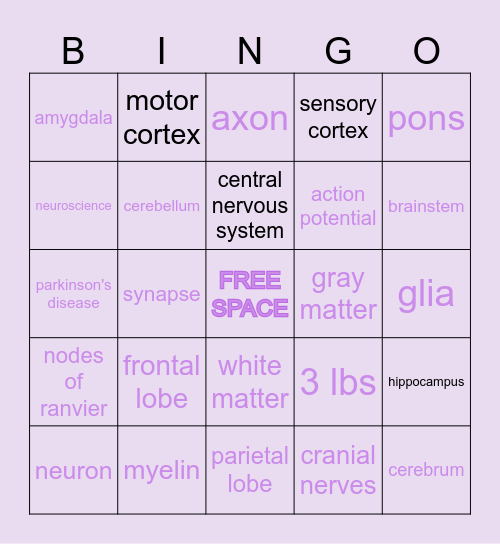 AMP Neuroscience Bingo Card