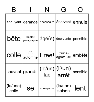 Section E- Un frere pénible Bingo Card