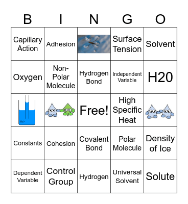 Properties of Water Bingo Card