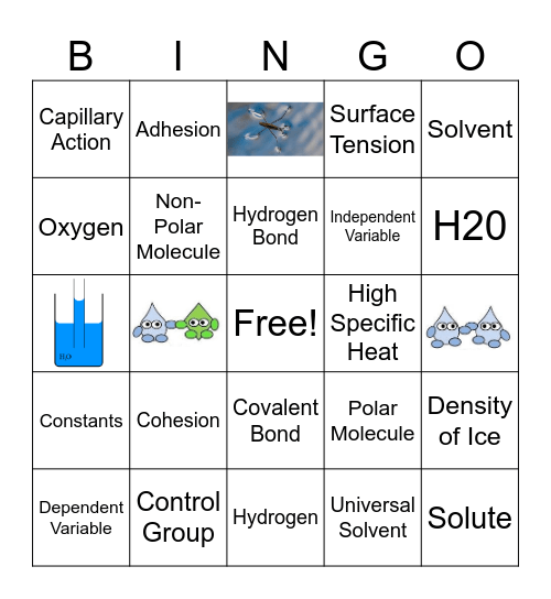 Properties of Water Bingo Card