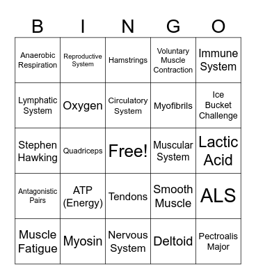The Human Body Bingo Card