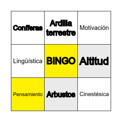 LOTERIA ESTRATEGIAS DE APRENDIZAJE Bingo Card