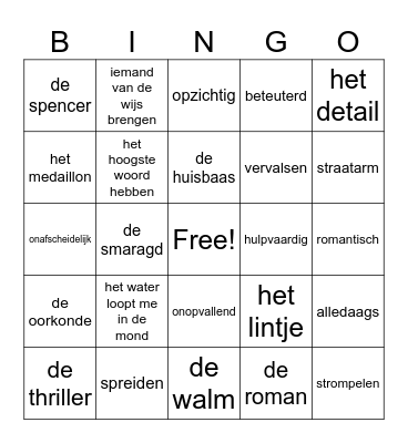 Woordenschat groep 6 thema 8 Bingo Card