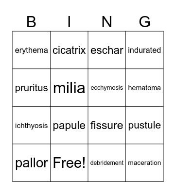 Integumentary System Bingo Card