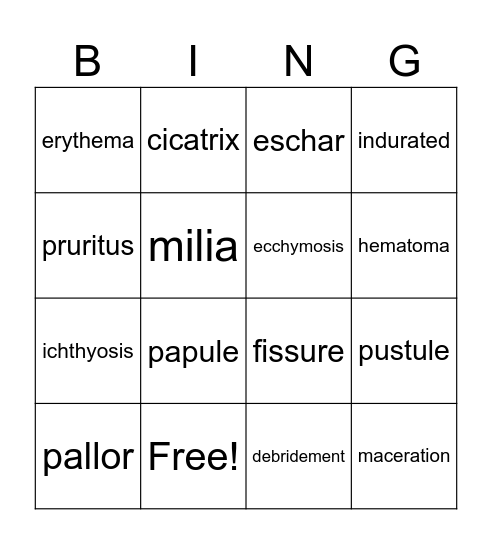 Integumentary System Bingo Card