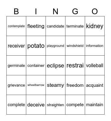 Long a and e Bingo Card