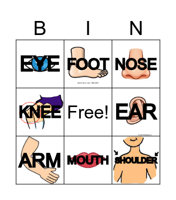 BODY PARTS Bingo Card