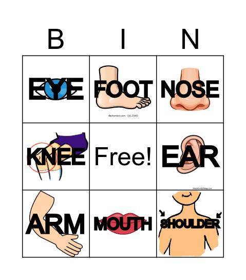 BODY PARTS Bingo Card