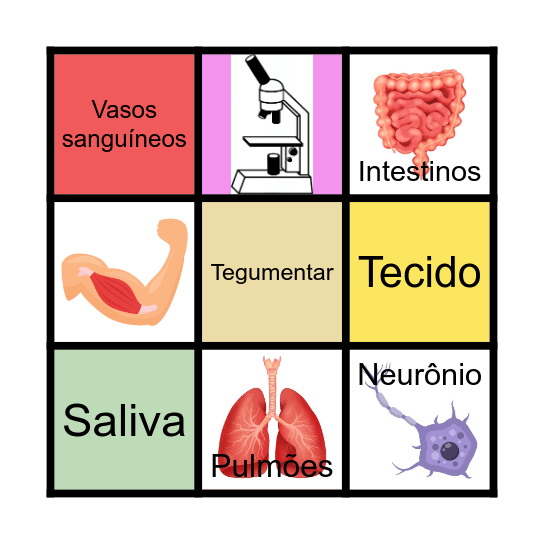 Corpo Humano Bingo Card