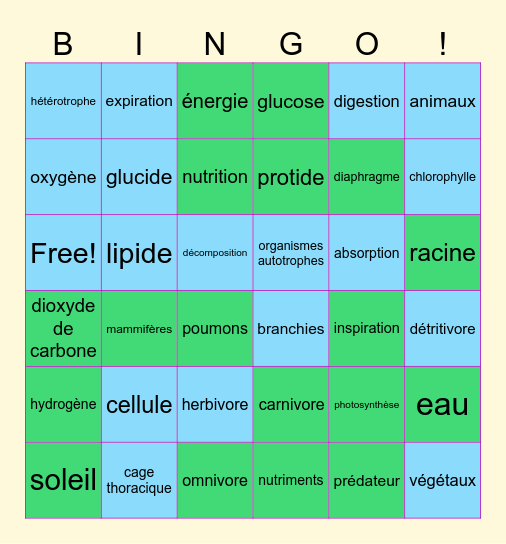 Bingo nutrition E-V Bingo Card