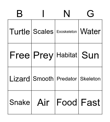 reptiles Bingo Card