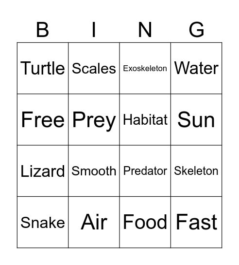 reptiles Bingo Card