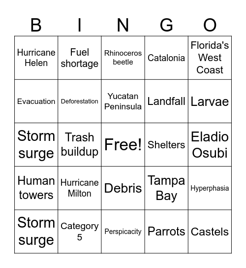 CNN 10 Bingo Card