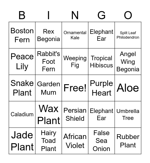 Plant ID Q1 Review Bingo Card