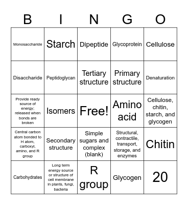 Carbohydrate & Protein BINGO Card