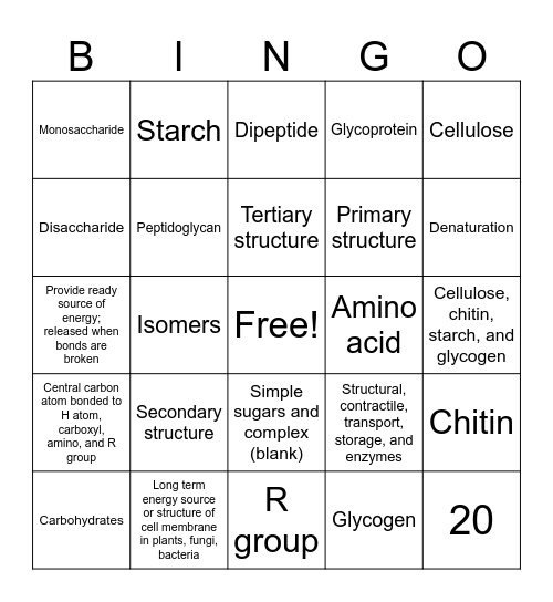 Carbohydrate & Protein BINGO Card