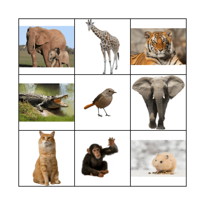 Animal Bingo Card