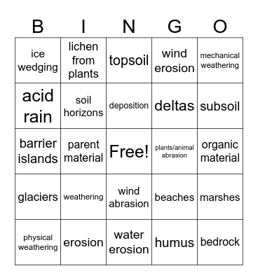 WEDS Review BINGO Card