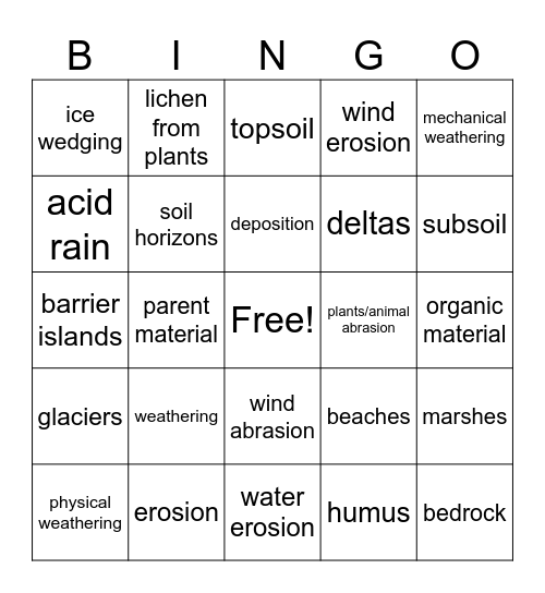 WEDS Review BINGO Card