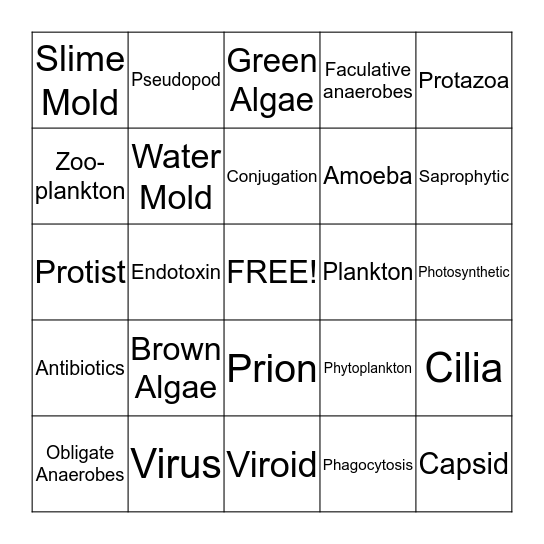 Protista  Bingo Card