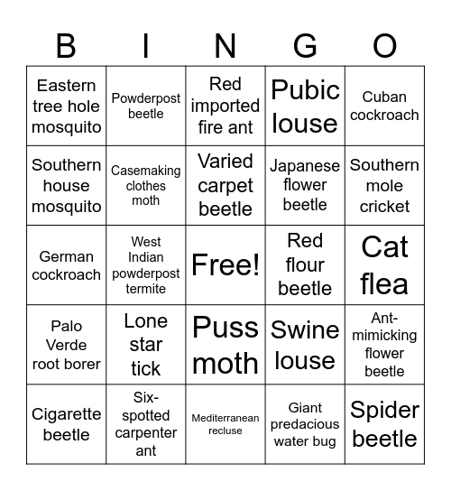 General Entomology Bingo Card