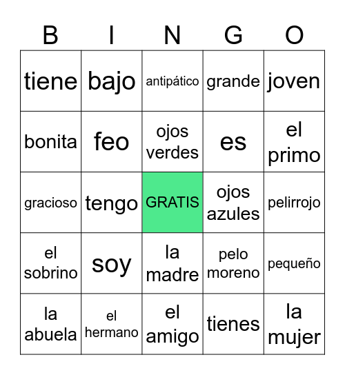Esp. 1 - Unidad 1: personas, familia y adjetivos Bingo Card