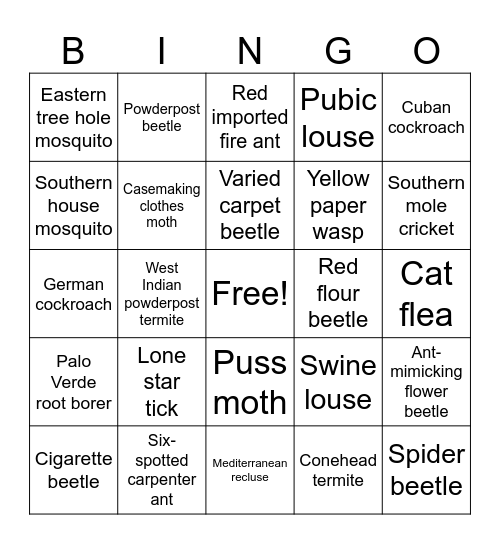 Tell Me What You Know Bingo Card