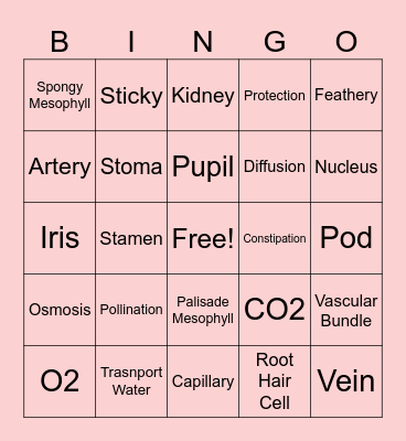 Combined Science 5129 Bingo Card