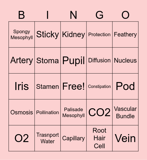 Combined Science 5129 Bingo Card