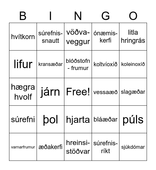 Mannslíkaminn - 3 kafli Bingo Card