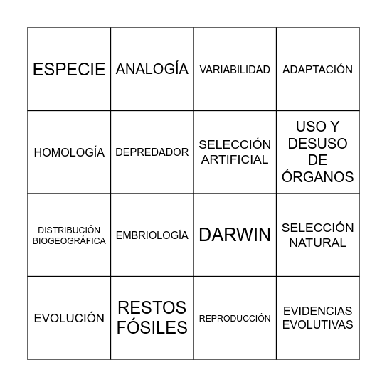 BINGO EVOLUTIVO Bingo Card