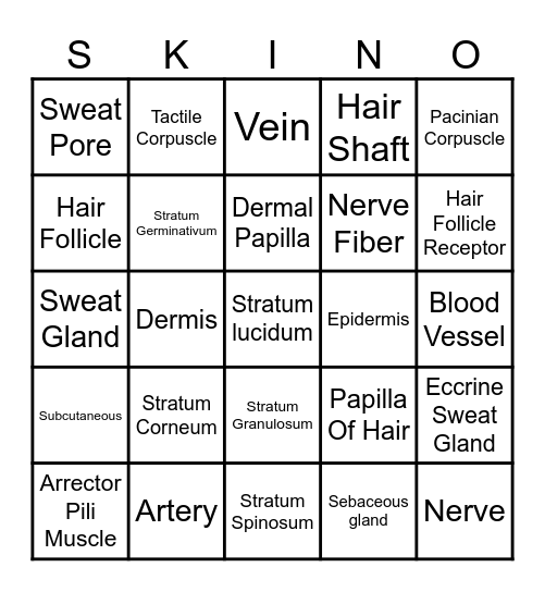 Brooklyn Perry's Bingo Card