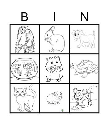 PETS Bingo Card